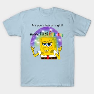 Honey, I’m an experience T-Shirt